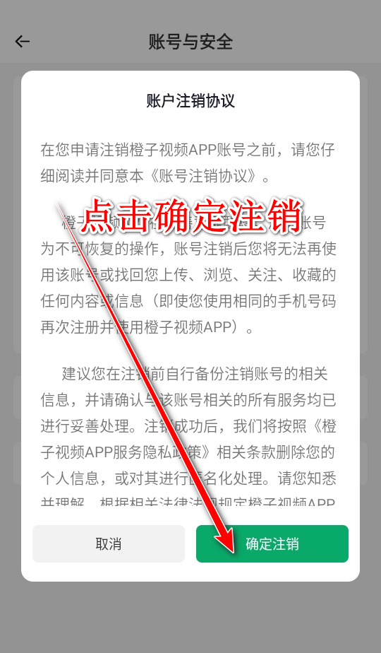 橙子视频免费版