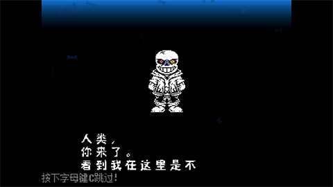 传说之下白菜遭遇战安卓版(Not 2.6.0)