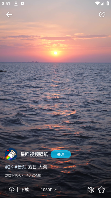 星咩视频壁纸app