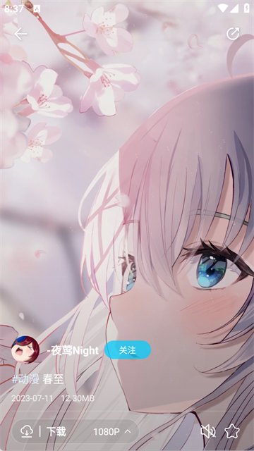 星咩视频壁纸app